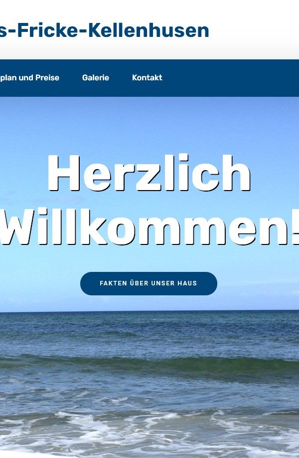 Website Fricke