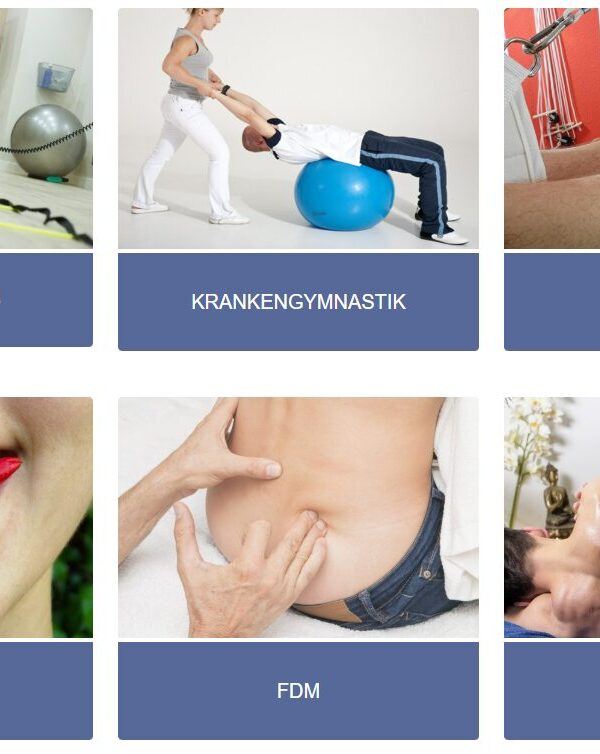 Screenshot der Website der Physiotherapie Praxis Bernhardi in der Hannover Südstadt.